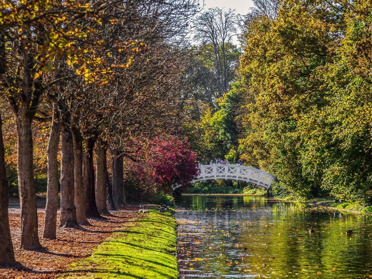 Weiße Bogenbrücke über einem Kanal im Schwetzinger Schlossgarten zwischen herbstlichen Bäumen