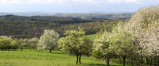 „Haltet daran fest! – Anmerkungen zum Jahrestreffen ehemaliger Patientinnen und Patienten in Münchwies „Haltet daran fest! – Anmerkungen zum Jahrestreffen ehemaliger Patientinnen und Patienten in Münchwies
