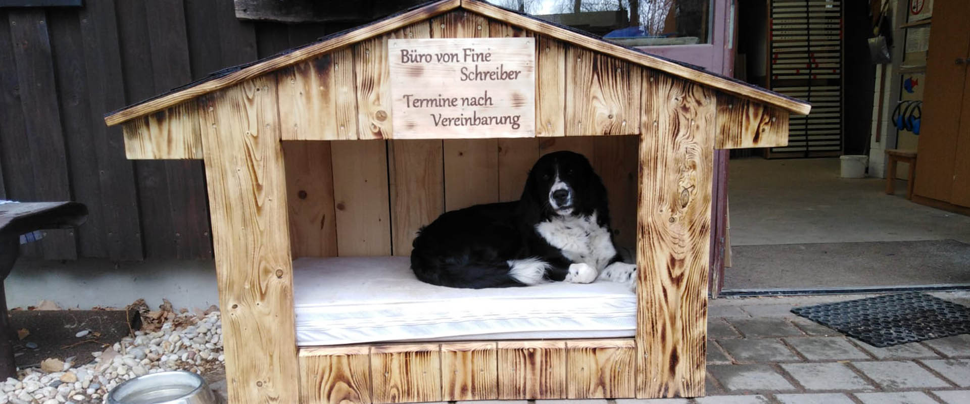  Therapiehund_in_der_Hütte.jpg